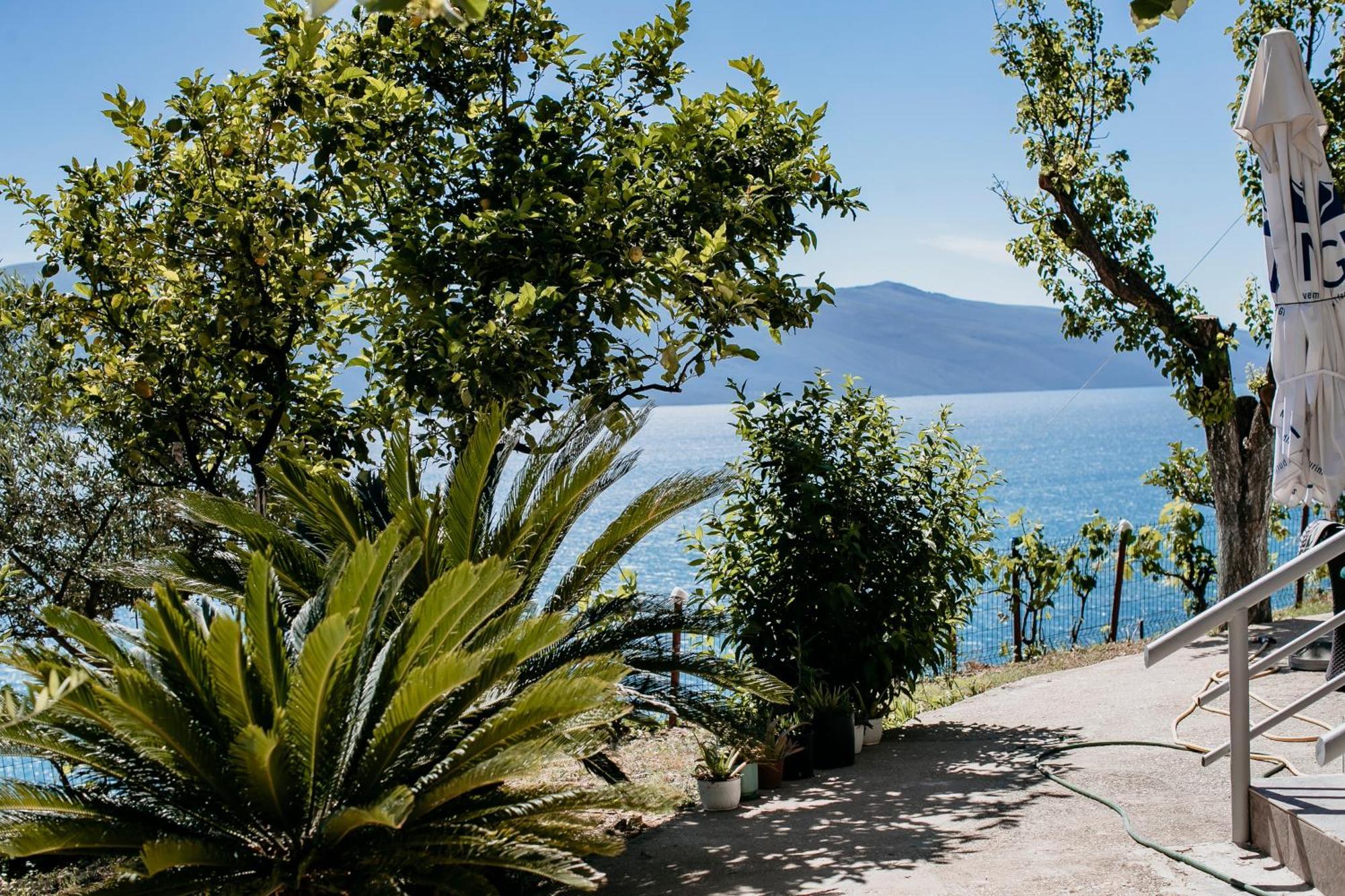 Villa Del Mar Kanine Eksteriør billede