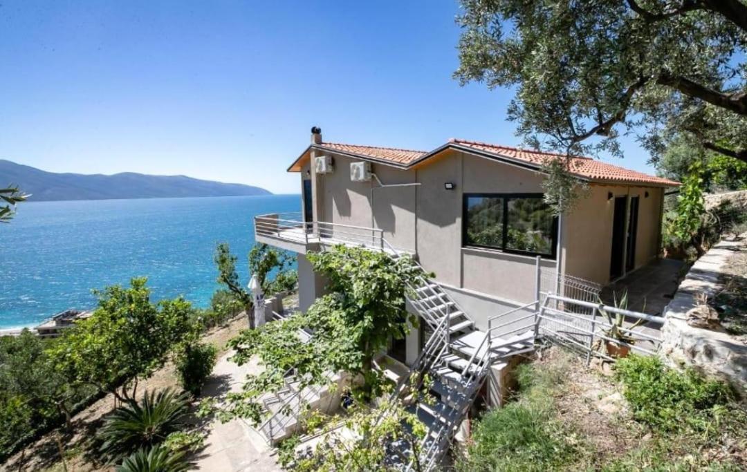 Villa Del Mar Kanine Eksteriør billede
